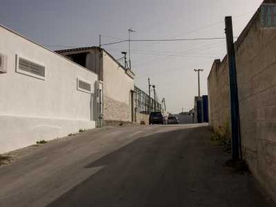La percorriamo e superate alcune saracinesche di esercizi commerciali, incrociamo una strada chiusa. Lo zoo dovrebbe essere a quell�altezza, ma nessuno ci fornisce indicazioni su chi sia il proprietario e del perch� gli animali si trovino l�